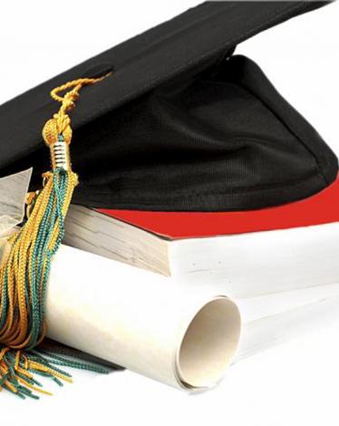 تشكيل لجنة فنية عليا لتمكين الخريجين