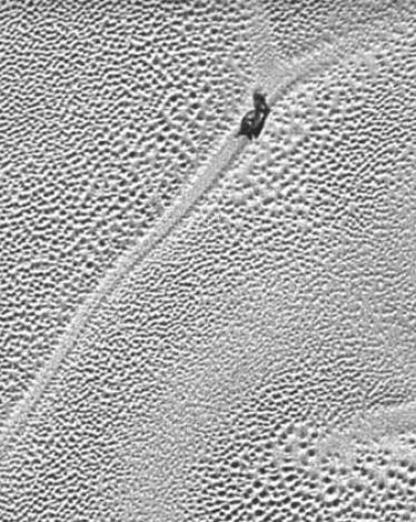 1934222_1282263225149428_4417225372985650779_n