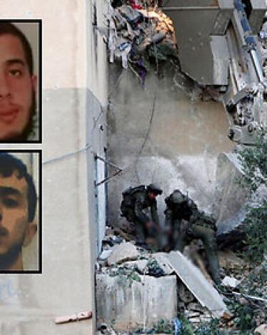 7161935492280autoresize