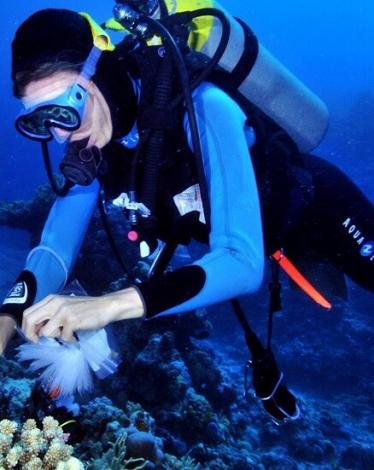 5da02e274236042c663dbc59