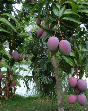 860x484 (60)