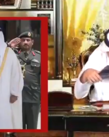 محمد بن زايد