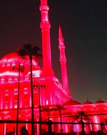 مصر تضامنا مع بكين ضد كورونا 