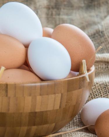eggs
