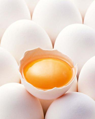egg-1