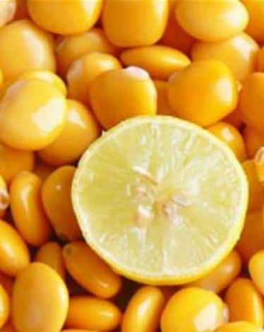 NB-63145-635520728154410958