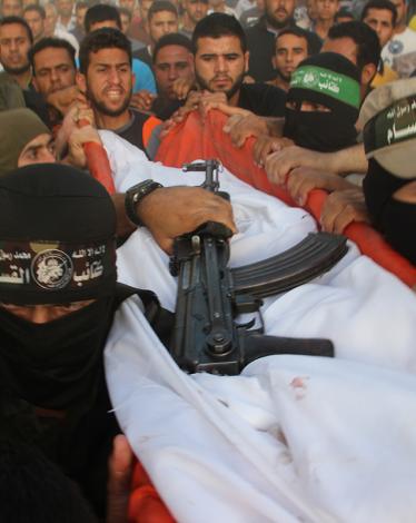 e8d7781a9df6114400997874ccba64f0