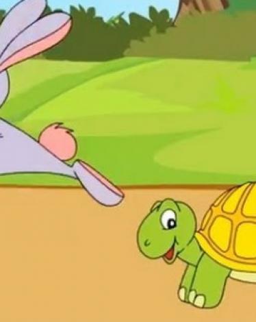 26