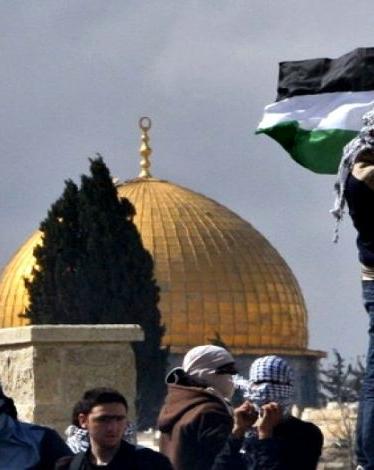 الأسبوع الثاني من ديسمبر.. ارتقاء 9 شهداء وإصابة 25 إسرائيليا