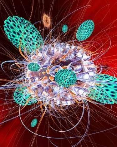 5c1df7aed437509a148b4595