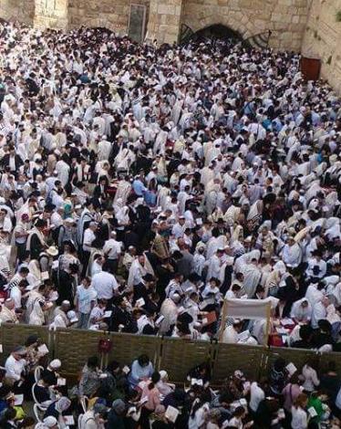 خلال أداء اليهود الصلوات التلمودية