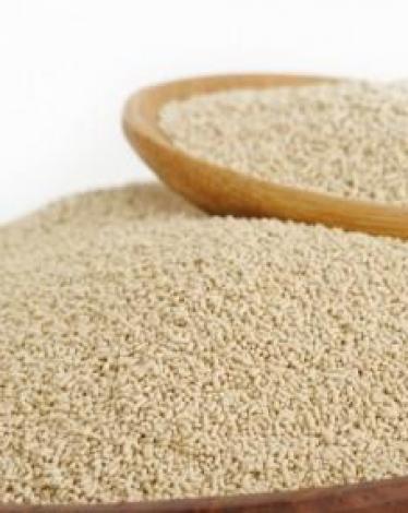 963122ea-7ddd-4993-b1db-2aae71ebd35a