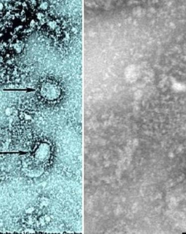 fa0656a3-f714-43c4-8754-43434823abc5_16x9_1200x676