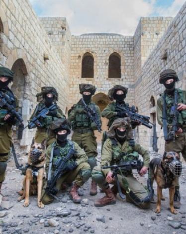 وحدة عوز بجيش الاحتلال الإسرائيلي