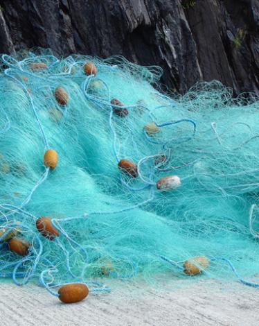 A_fishing_net_in_Brandon_Creek_-_geograph.org.uk_-_921094
