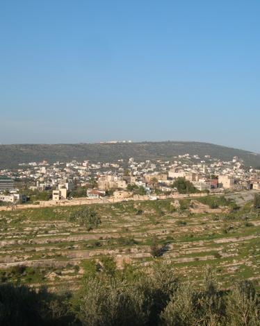 Salfit-31620