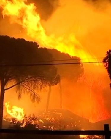 1661818000000_original