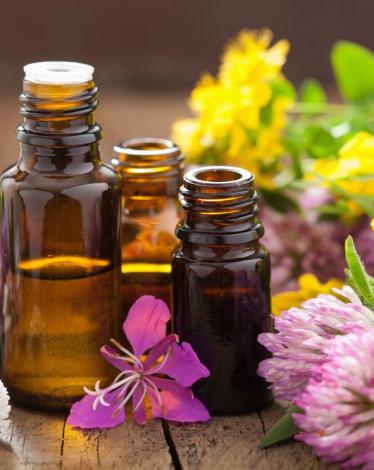 shutterstock_204696667_1