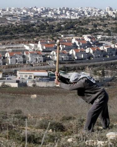Settlements.AFP_-1