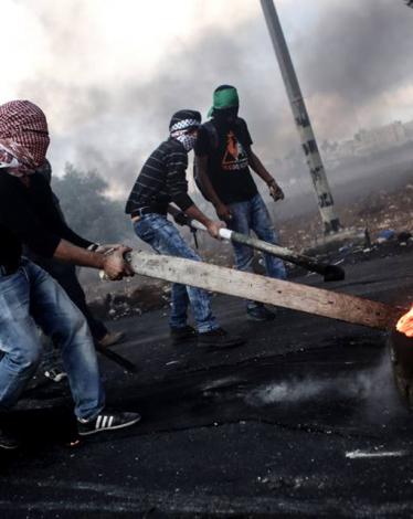 11149381_1204799396229145_6647261039555587489_n