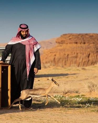 ابن سلمان يفتتح محمية ويعلق على 