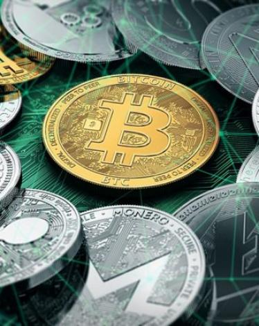 15290046585b22c272410bf9.29161872