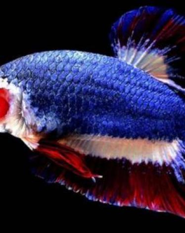 00069419542810846060783800306040