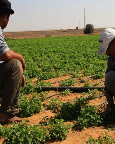 المزارعين بغزة