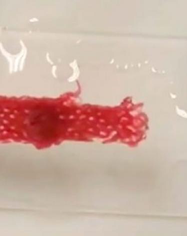 2-نسيجاً-قادر-على-حياكة-نفسه