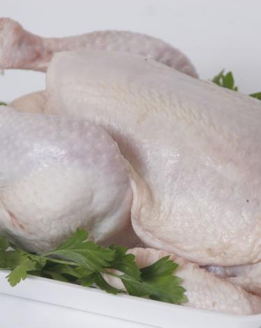 chicken