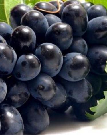فوائد_العنب_الأسود_للبشرة