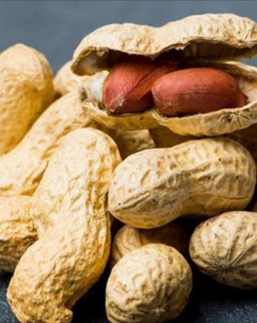 حساسية الفول السوداني.. الدواء من الداء