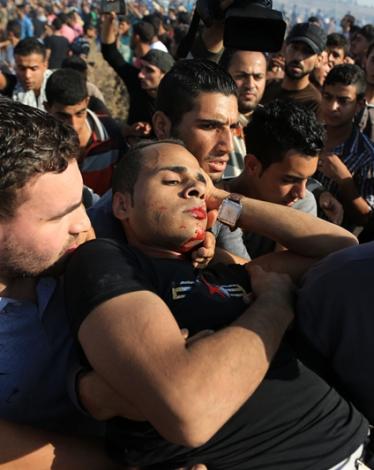 13fdcb22db684ecae65e626e1181e165 (نسخ)