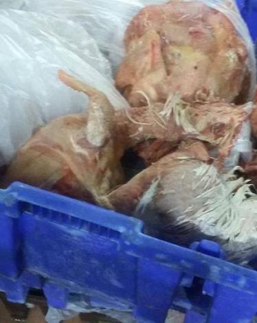 13417475_1177446118964508_4616879858705751654_n