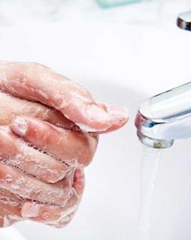 14d6c317-73bb-4e66-bdcb-bdbd0d7d94de