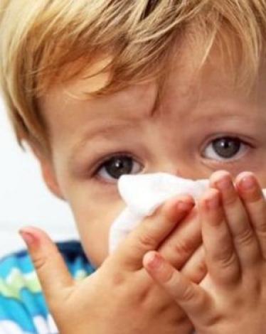 _103804869_b3cb9d32-5587-4fb4-8787-56824c501155