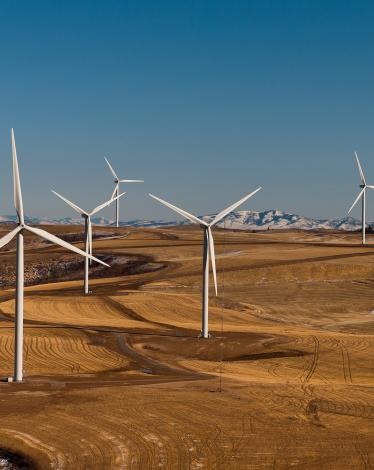 Wind_Farm