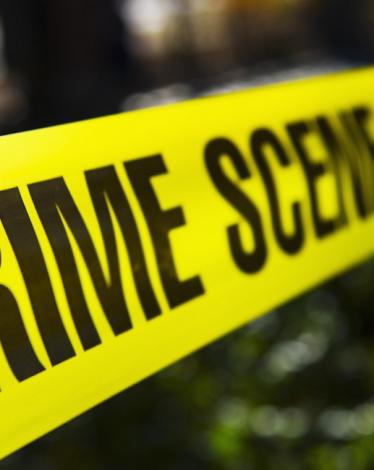 crime_scene_409497329