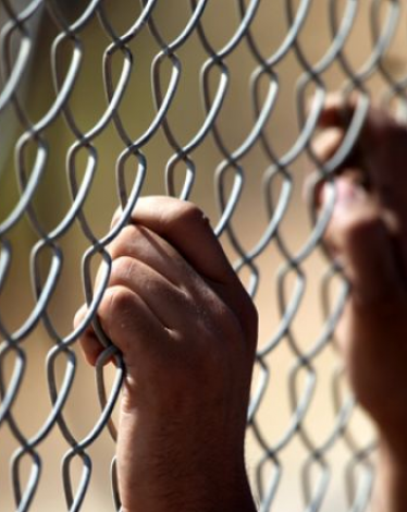 الأسرى يشتكون من دخول الفئران لغرف وأقسام "هداريم"