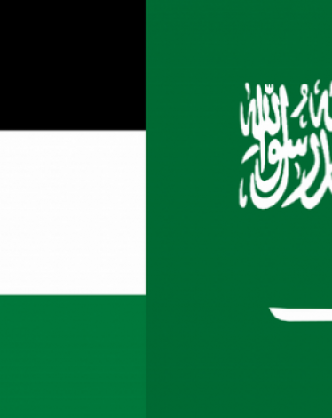 علم-السعودية-وفلسطين-1024x682