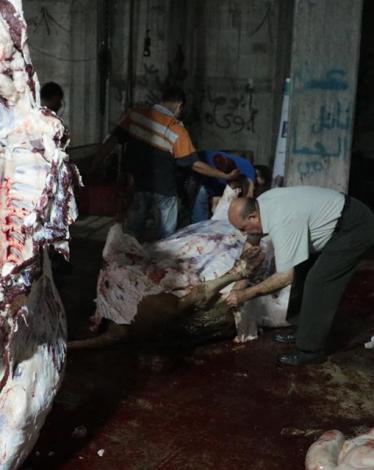 thumbnail_21231644_1390604767723123_1386738638258806051_n