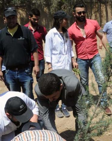 الزراعة: إطلاق حملة تشجير جديدة في المحافظات الجنوبية