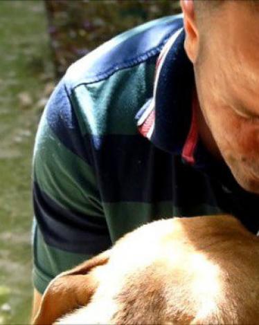 شاب تركي يتجول بدراجته لإطعام القطط والكلاب