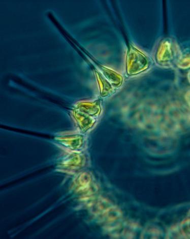 tumblr_naobadc5fF1r83d7lo1_1280