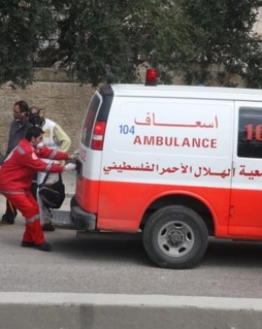 بيتونيا