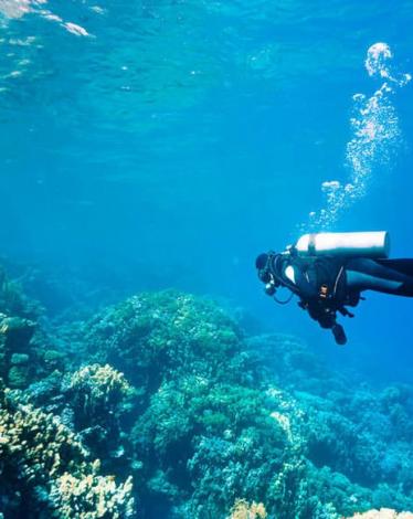 Bunaken-diving