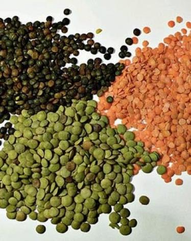 li-lentils-wikimedia