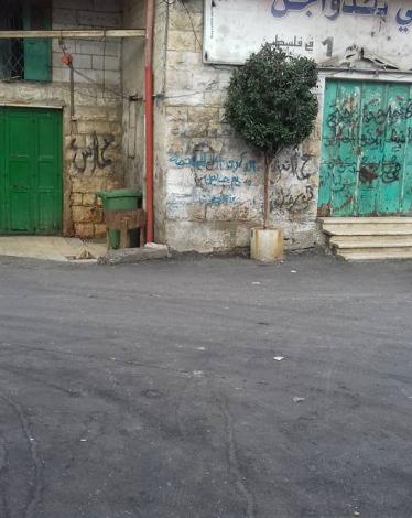 14639638_1611856215523459_2405673891760448930_n