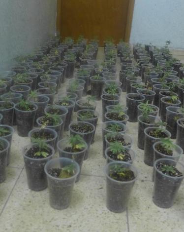 10293547_290404214451952_1600347730434290252_o