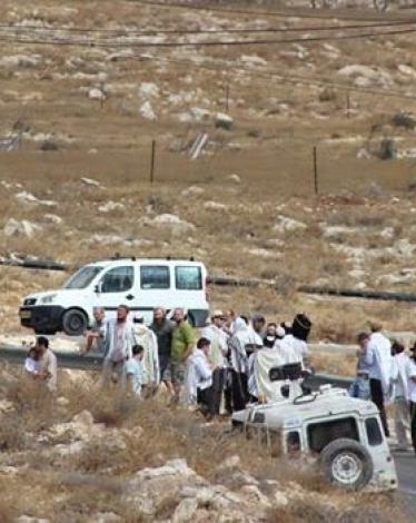 10881659_791161124265971_5881985645087701721_n